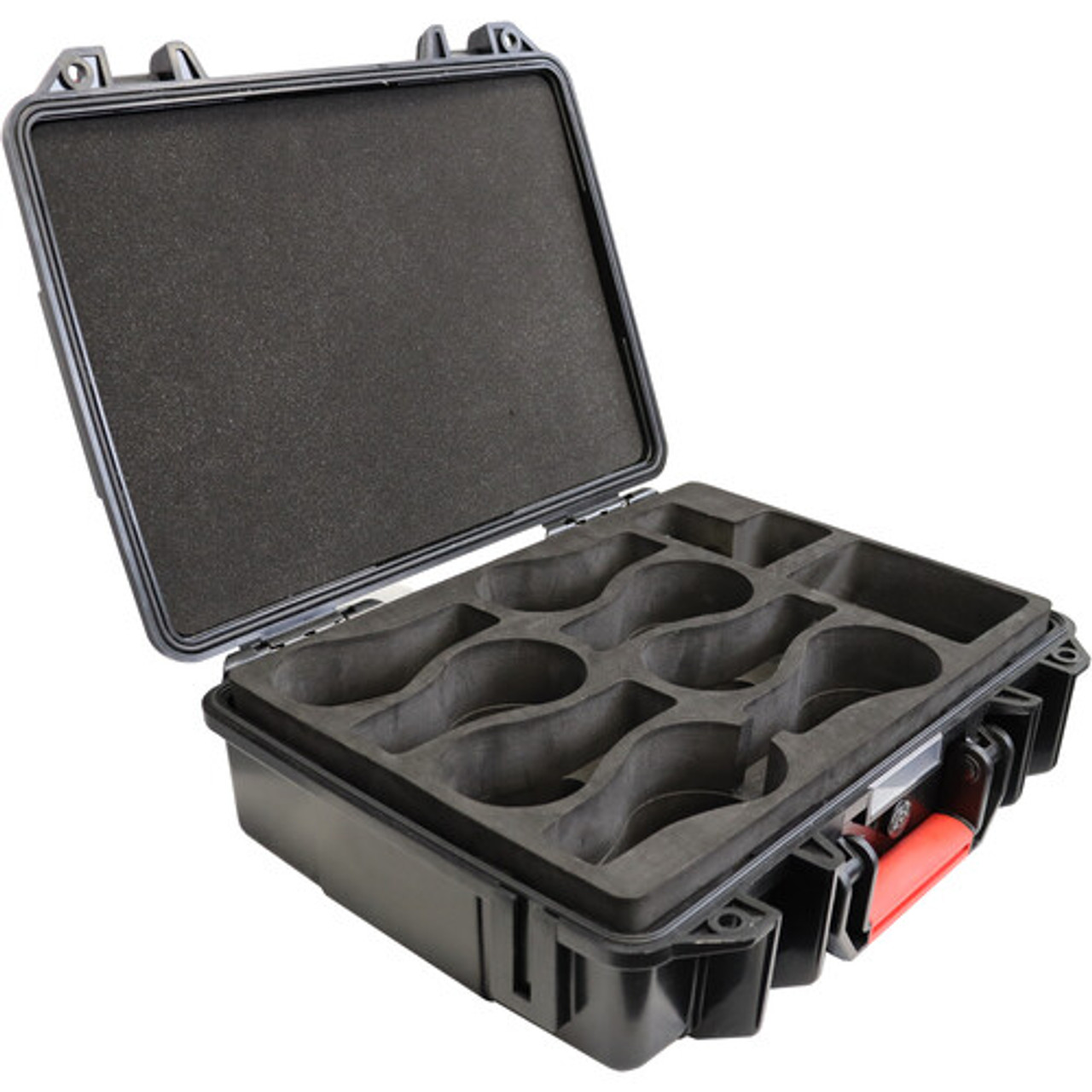 ASTERA - FP5-CSE - NYX Bulb Transportation Case