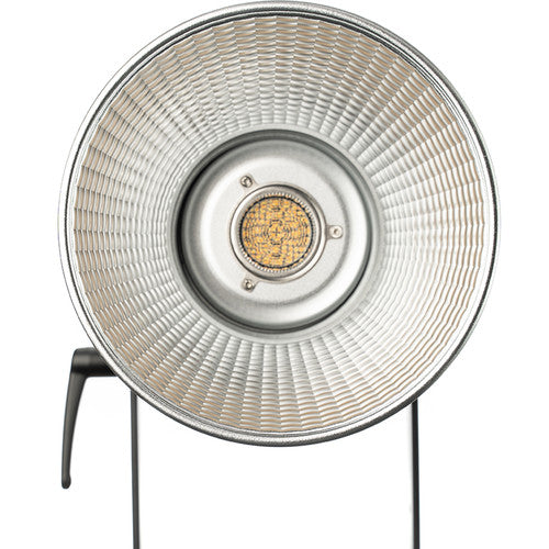 Aputure APD0159A2B LS 300x Bi-Color LED Light (A-mount)