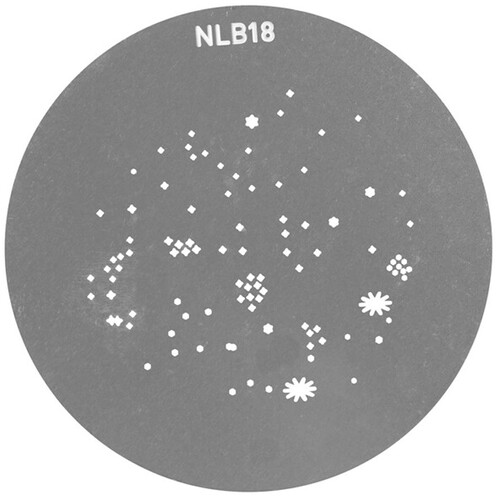 Nanlite BM Mount Projection Attachment GOBO Set 2 (10 pcs. in one set)