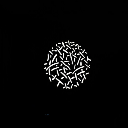 Nanlite FM Mount Projection Attachment GOBO Set1