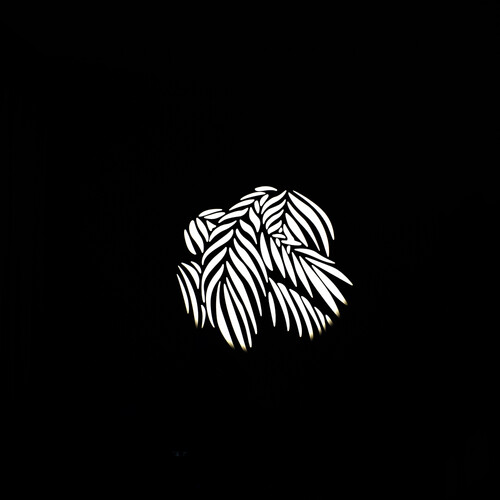 Nanlite FM Mount Projection Attachment GOBO Set 2