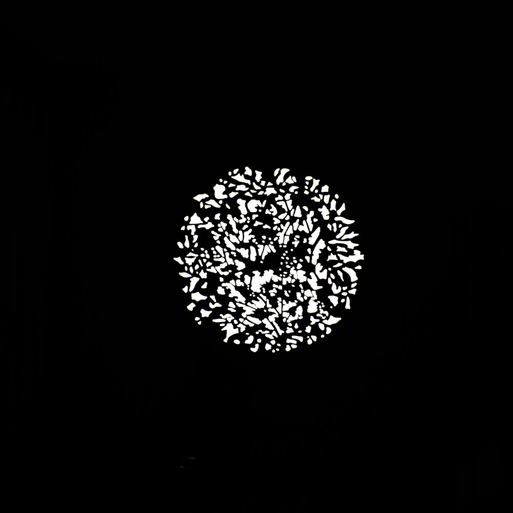 Nanlite FM Mount Projection Attachment GOBO Set 2