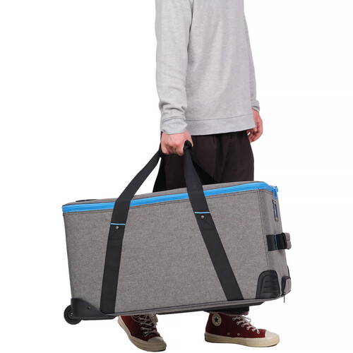 Nanlite FC-300B Spotlight 2-Light Kit with Rolling Case
