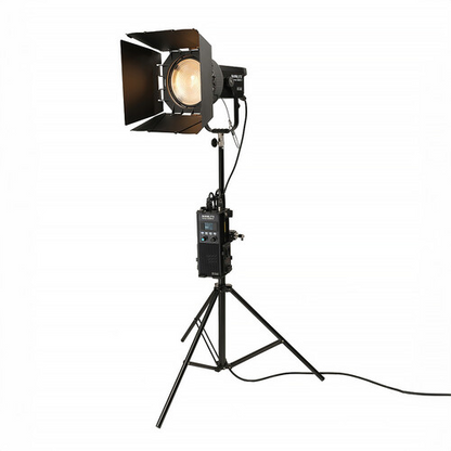 Nanlite Forza 500B II Bi-Color LED Spotlight, FL-20G Fresnel, and Rolling Padded Case Kit