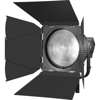 Godox - LB02 - Fresnel barndoor for BF10