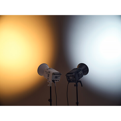 Godox Litemons LE300Bi Bi-Color LED Light (White)