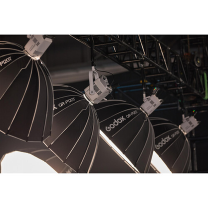 Godox Litemons LE300Bi Bi-Color LED Light (White)