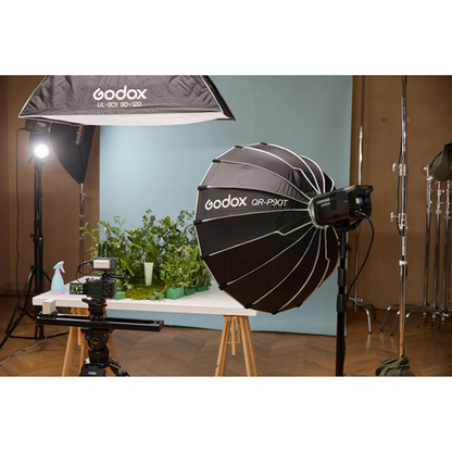 Godox Litemons LE300Bi Bi-Color LED Light (Black)