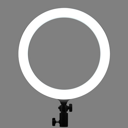 Godox LR120 LED Ring Light (Black)