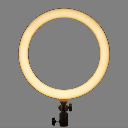 Godox LR120 LED Ring Light (Black)