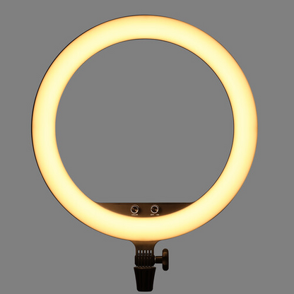 Godox LR150 LED Ring Light (Black)