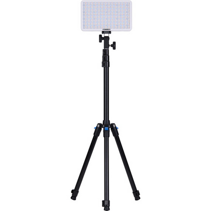 amaran Pano 60c RGB COB Mobile Light Panel (2-Light Kit, White)