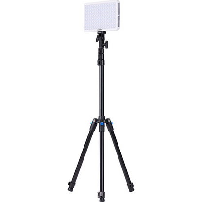 amaran Pano 60c RGB COB Mobile Light Panel (2-Light Kit, White)